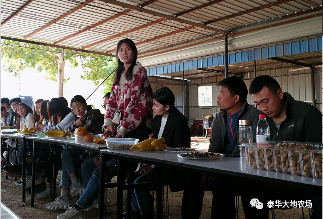 欢迎河北农业大学师生一行莅临泰华大地农场参观交流