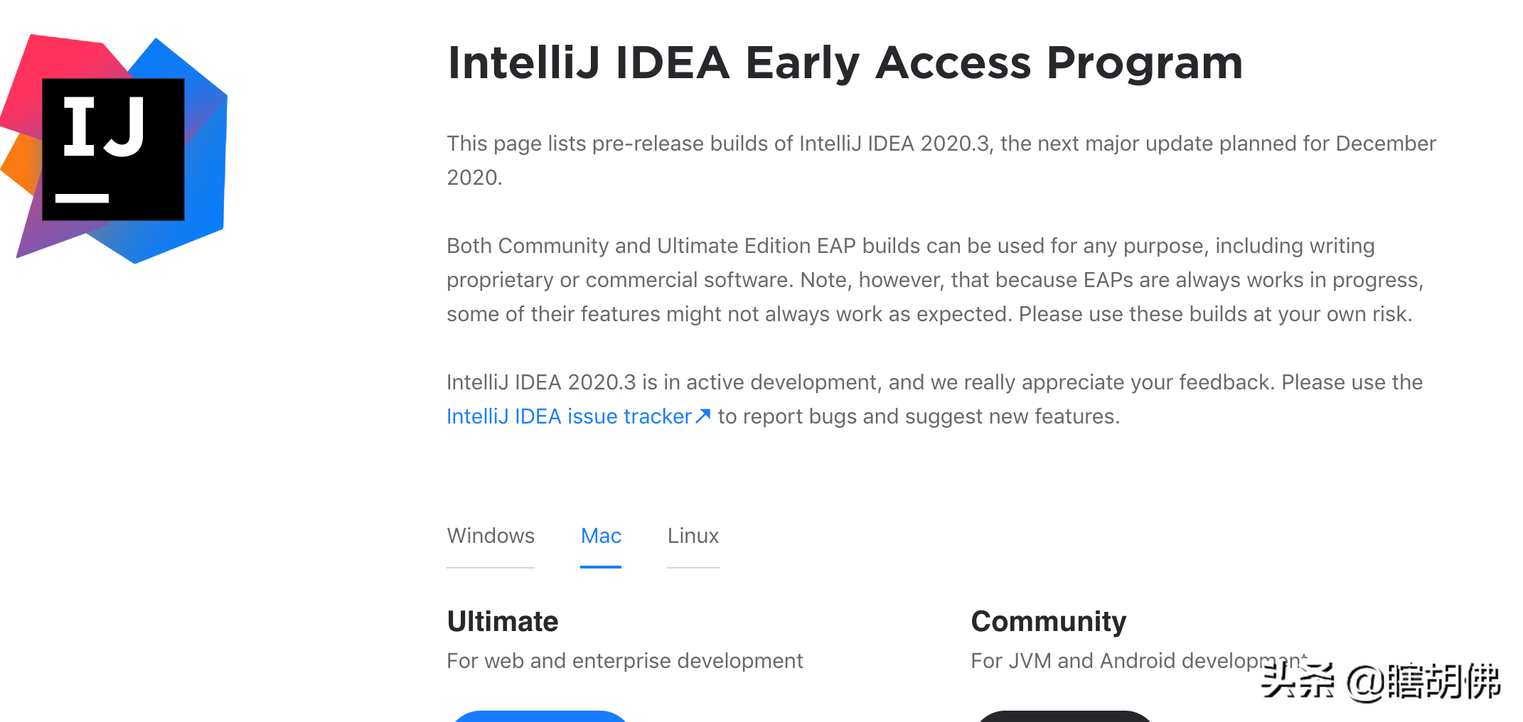 新版IntelliJ IDEA让人眼前一亮，内存占用有所好转