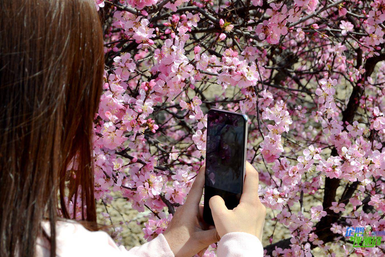 vivo S6全面评测：不止颜值出众，性能均衡的5G旗舰拍照依然很美
