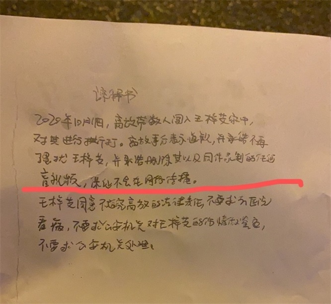 王梓芠回应插足，称只是留宿关系，并晒出日籍男子聊天截图