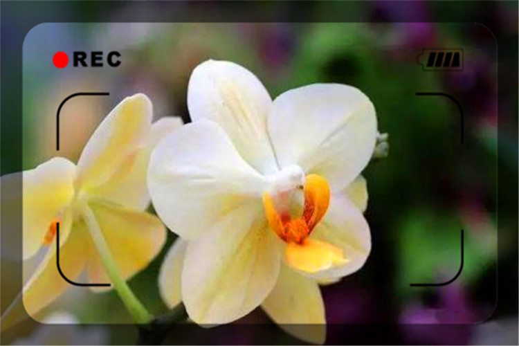 挽救社会上的创业失败者，振兴发展中小微民营