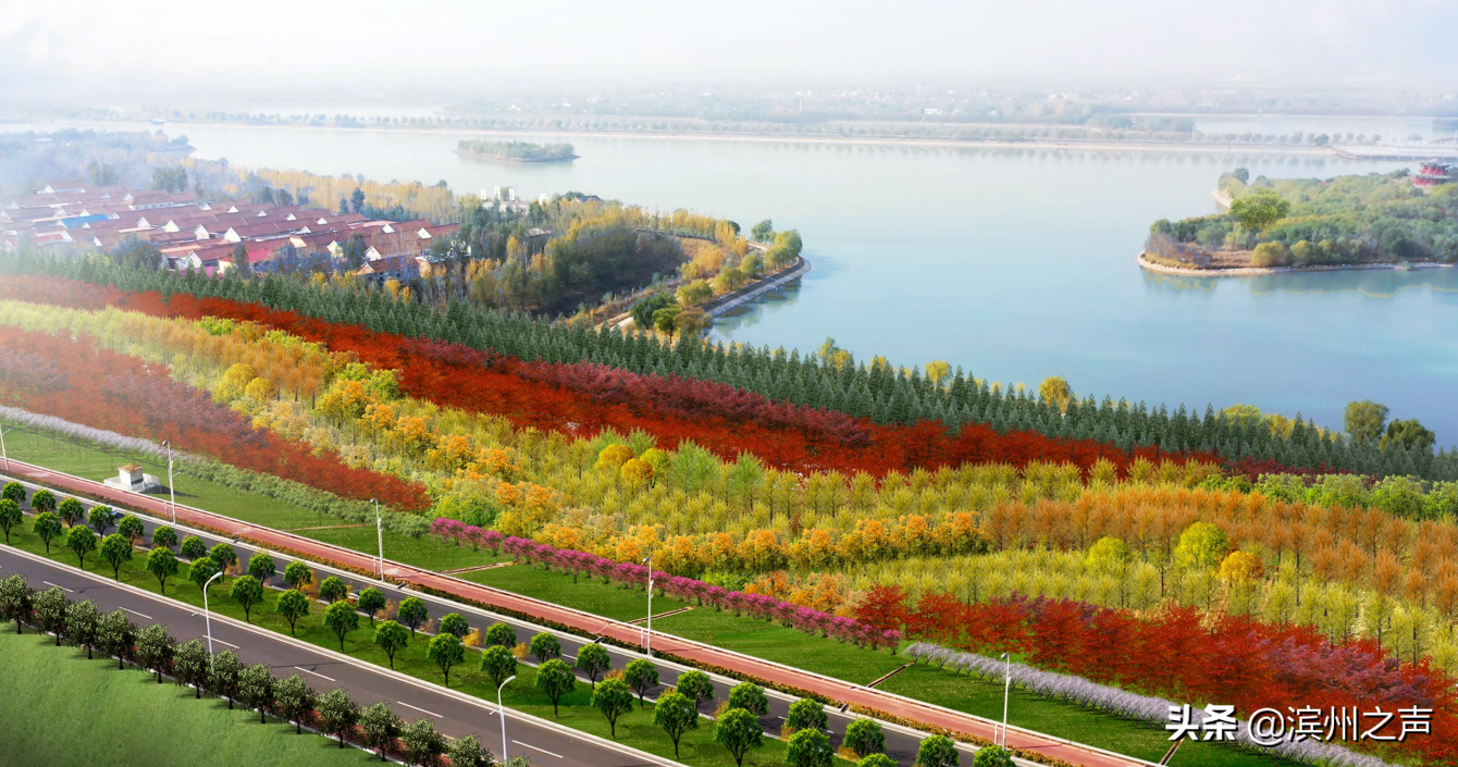 森林公园生态湿地滨州聚力打造黄河下游绿色生态走廊叫响黄河生态名片