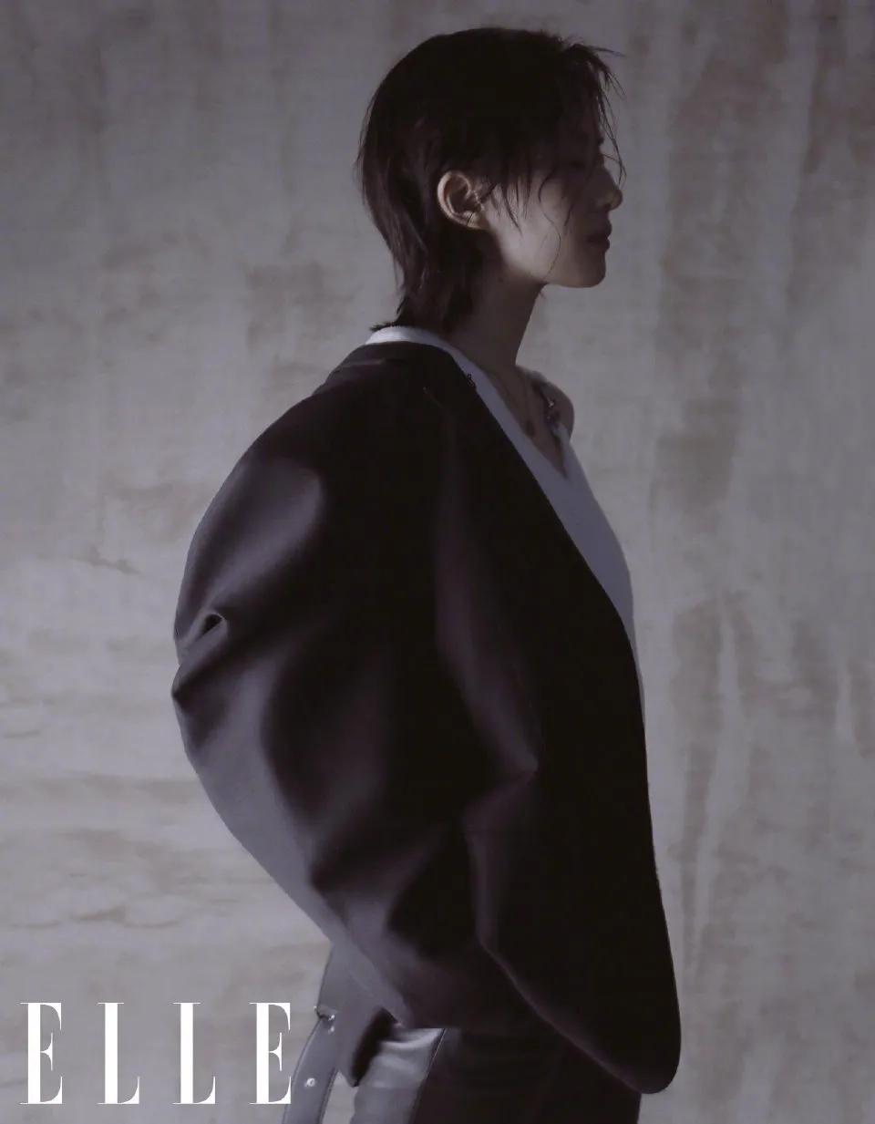 2 dimension pink send Liu Yifei