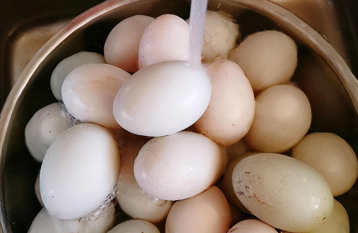 醃鹹鴨蛋，牢記“2個竅門”，鴨蛋不變質，起沙流油吃著香
