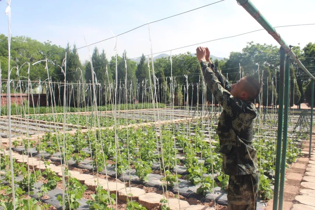 侯<a href=http://www.cngansu.cn/news/ target=_blank class=infotextkey></a>֧ܶӣٱ ḻӡ