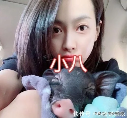 明星的宠物名：宋茜和朱正廷还好，鞠婧祎的笑翻网友