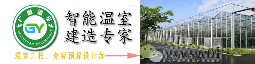 北方地区的薄膜连栋温室如何增强抗雪能力？初始设计很关键