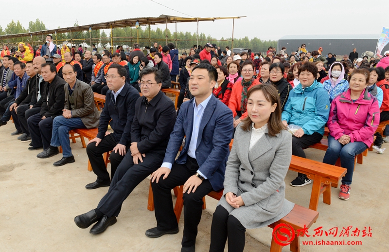 摘蘋果啦,！合陽武帝山下首屆蘋果采摘節(jié)開幕（組圖）