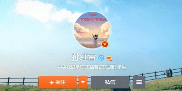 有种“低调”叫孙红雷的微博认证，长达15个字，