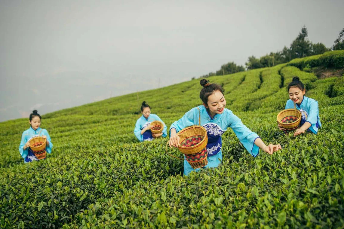重庆七大特色产业解析：年产值均超百亿，已成为地区经济支柱