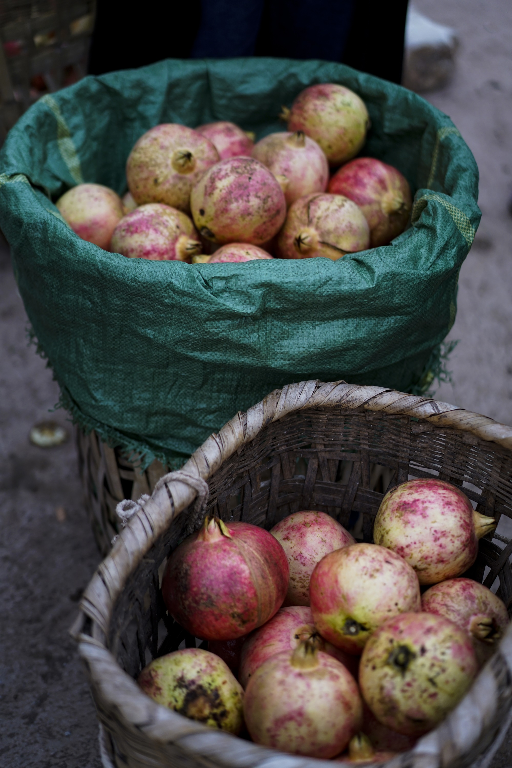 äºåâç¥ç³æ¦´âçäºï¼çåº¦ä¸è¾è¥¿çå¿ï¼åä¸ªéé«è¾¾2å¬æ¤