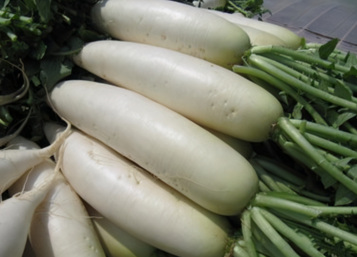 肺部不好要多吃這4類食物，能潤肺化痰，給肺部洗洗澡