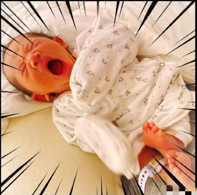 应采儿晒妈妈与二胎儿子合照，应妈抱外孙笑开花，祖孙同框超有爱