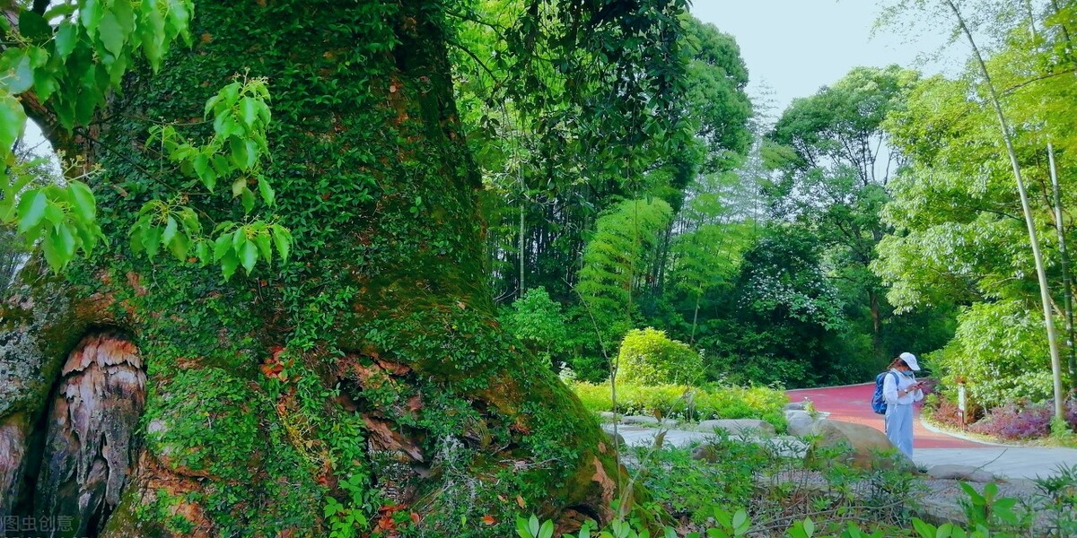 推荐5个纯净的自然旅行地，很小众的原生态美景，清新美好插图1