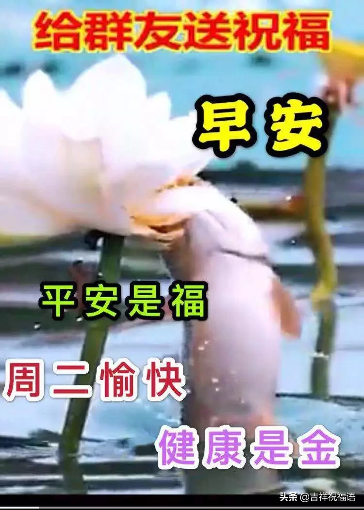 天气在变，思念不变；季节在变，关怀不变，早安