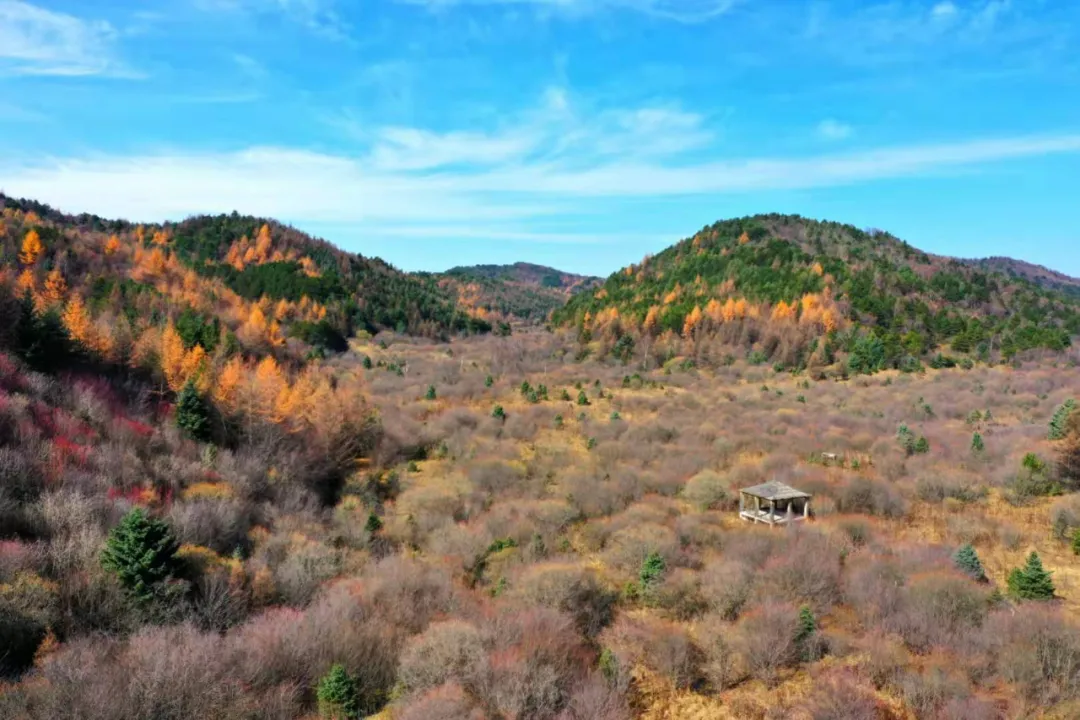There is a heartbeat called the autumn of the Qinba Mountains!  Red leaves in clear autumn, encounter romantic scenery
