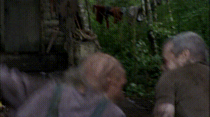 һɱʢ