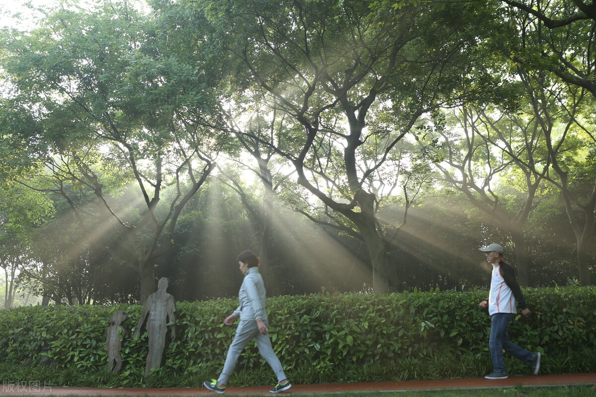 年过70想要健康长寿，要避开4个“养生”误区，否则极易损伤身体