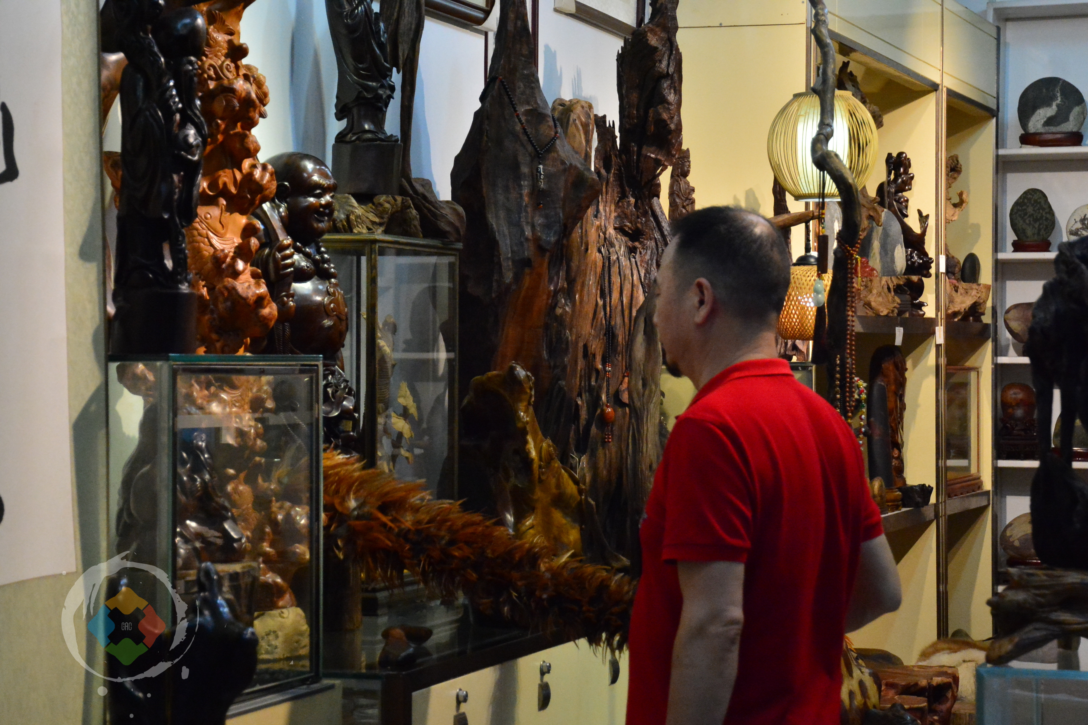 重庆杨家坪花鸟城避坑指南：鲜切花绝不能买，小型动植物品相最好