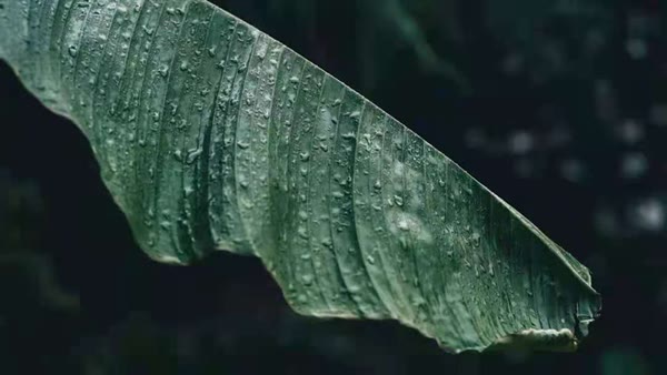 上海国际设计周艺术指导刘薇：刚柔并济的设计生命力