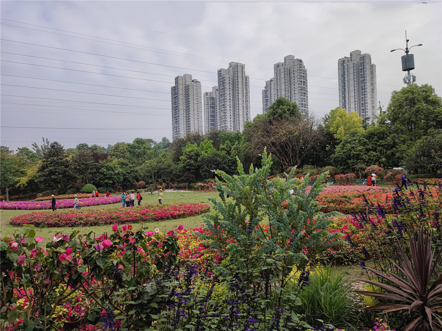 重庆熊婆婆的花园，门票38元，比南山植物园还贵，凭什么？
