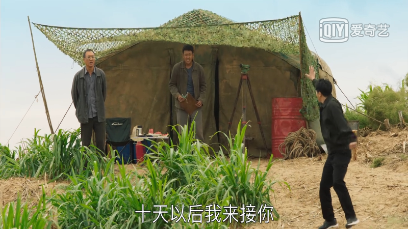 专家|山海情：菌草专家凌一农教授让人感动 角色原型真了不起