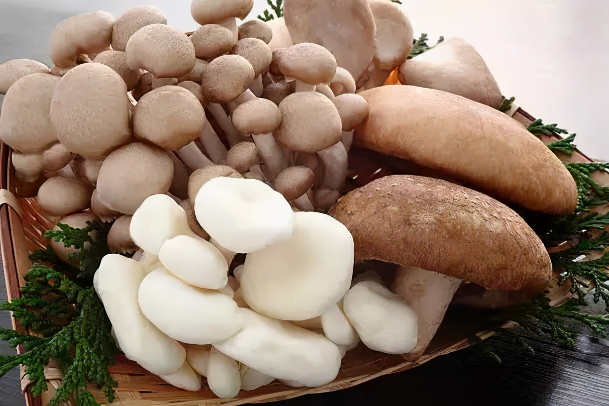 预防感冒，多吃这些食物吧