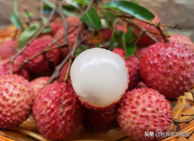 中国最好吃的荔枝在哪？这4个省份都盛产荔枝，难分上下