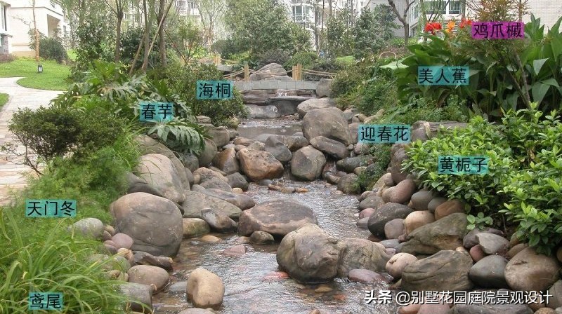 别墅庭院常用植物分享，附照片及名字标注（珍藏版）