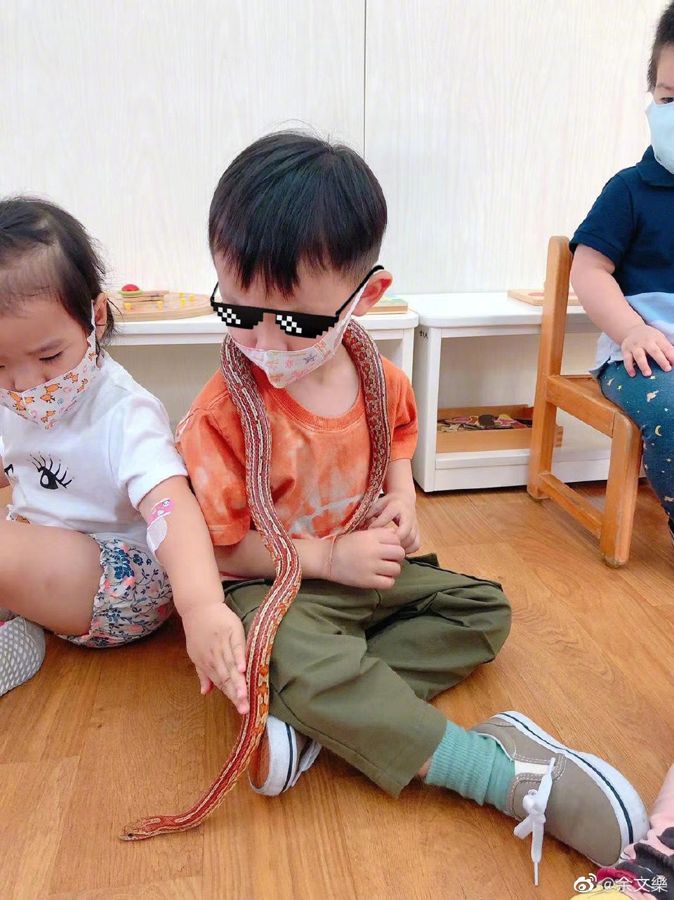 余文樂3歲兒子勇敢與蛇和青蛙接觸，小小年紀顏值高​​，帥氣會把妹