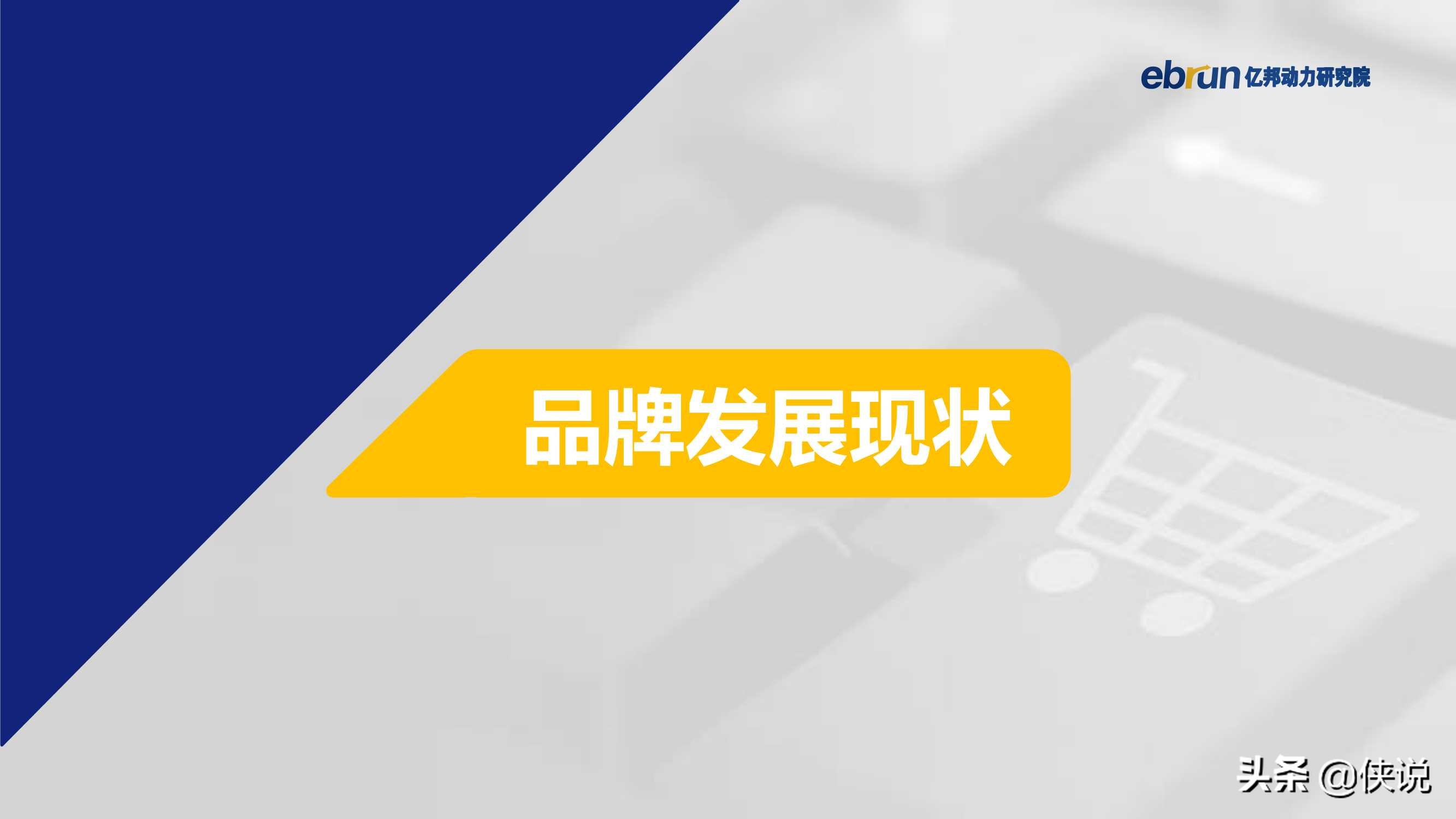 2021中国新消费品牌发展洞察报告（亿邦）