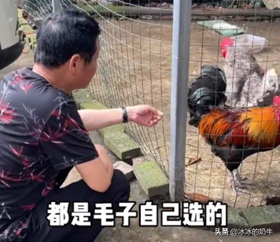 娛樂(lè)圈沒了三德子但依然有他的傳說(shuō)，只是600多元的一雞真是貴