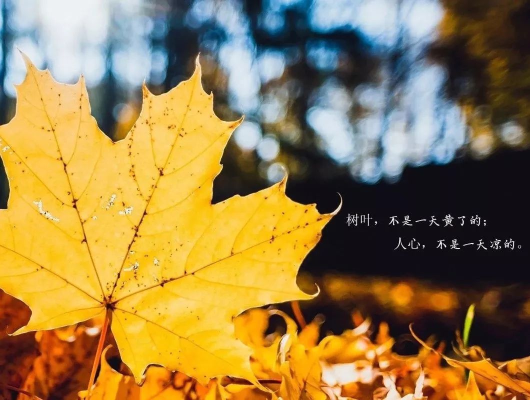 形容把金钱利益彻底看清一个人的句子