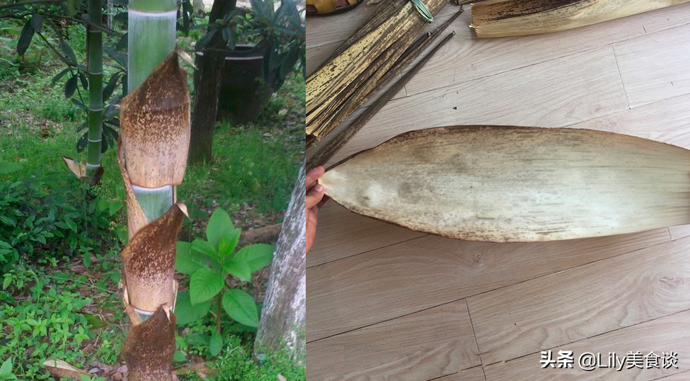 端午节包粽子，农村这7种“叶子”都能包，自带独特清香，收藏好