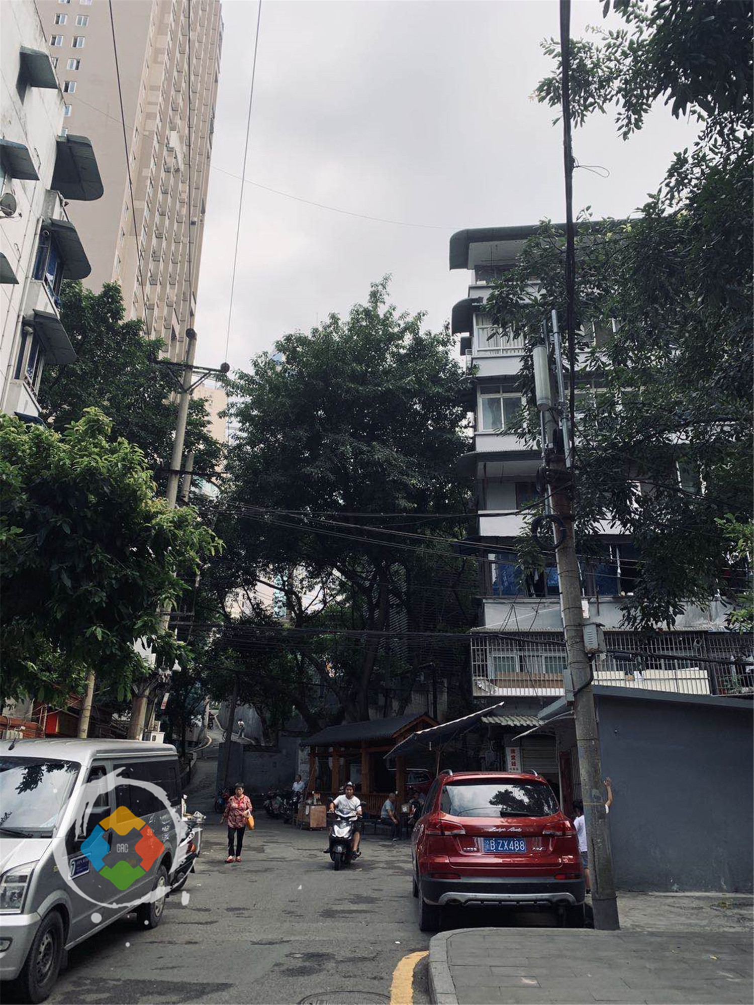 重庆九坑子的六星级苍蝇馆子，专卖黄辣丁火锅，但年轻人都不爱吃