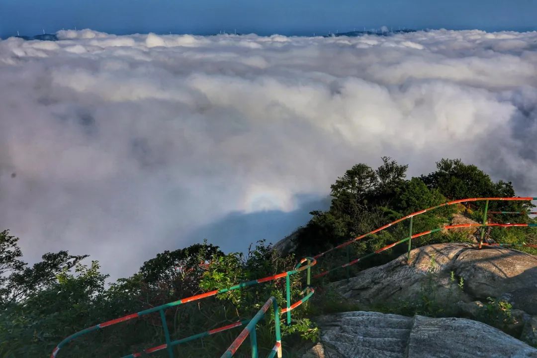 庚子年·打卡雞公山