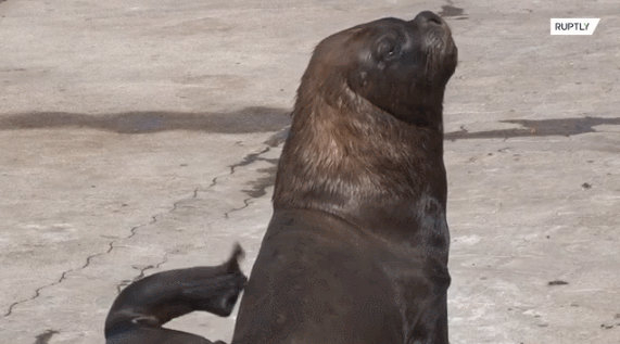 疫情未结束，另一场席卷70亿人的危机还在发生