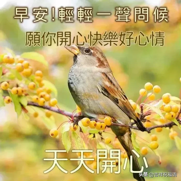 问候大家早上好快乐的早安短信祝福，早上好表情美图图片