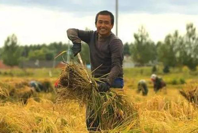 2021年，农村人赶上“3大改革”？