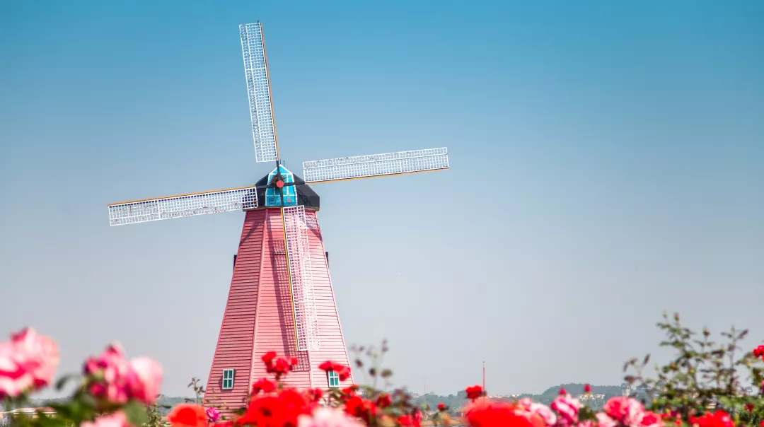 知遇蓝田·锻造成长 ▏蓝城农业研究院总经理谷建潮亲临项目授课