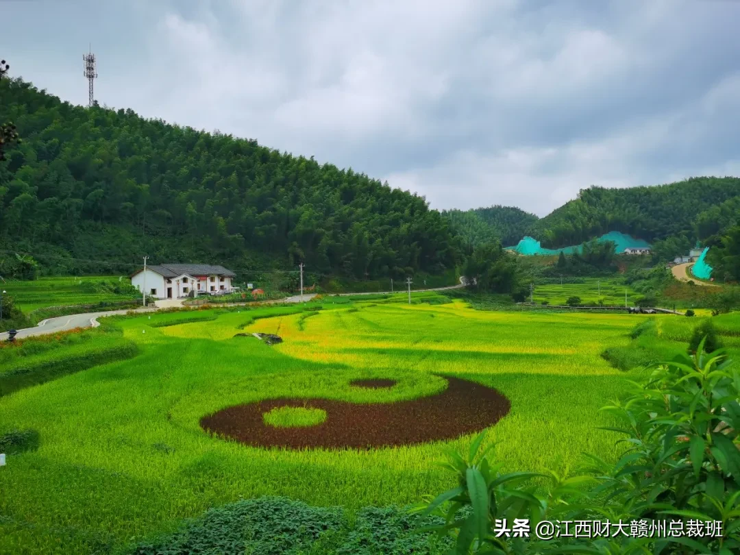 天然氧吧，醉美梯田——记财大EMBA赣州总裁19班崇义之旅