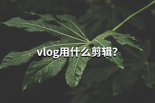 vlog用什么来剪辑？分享1个剪辑生活vlog的技巧