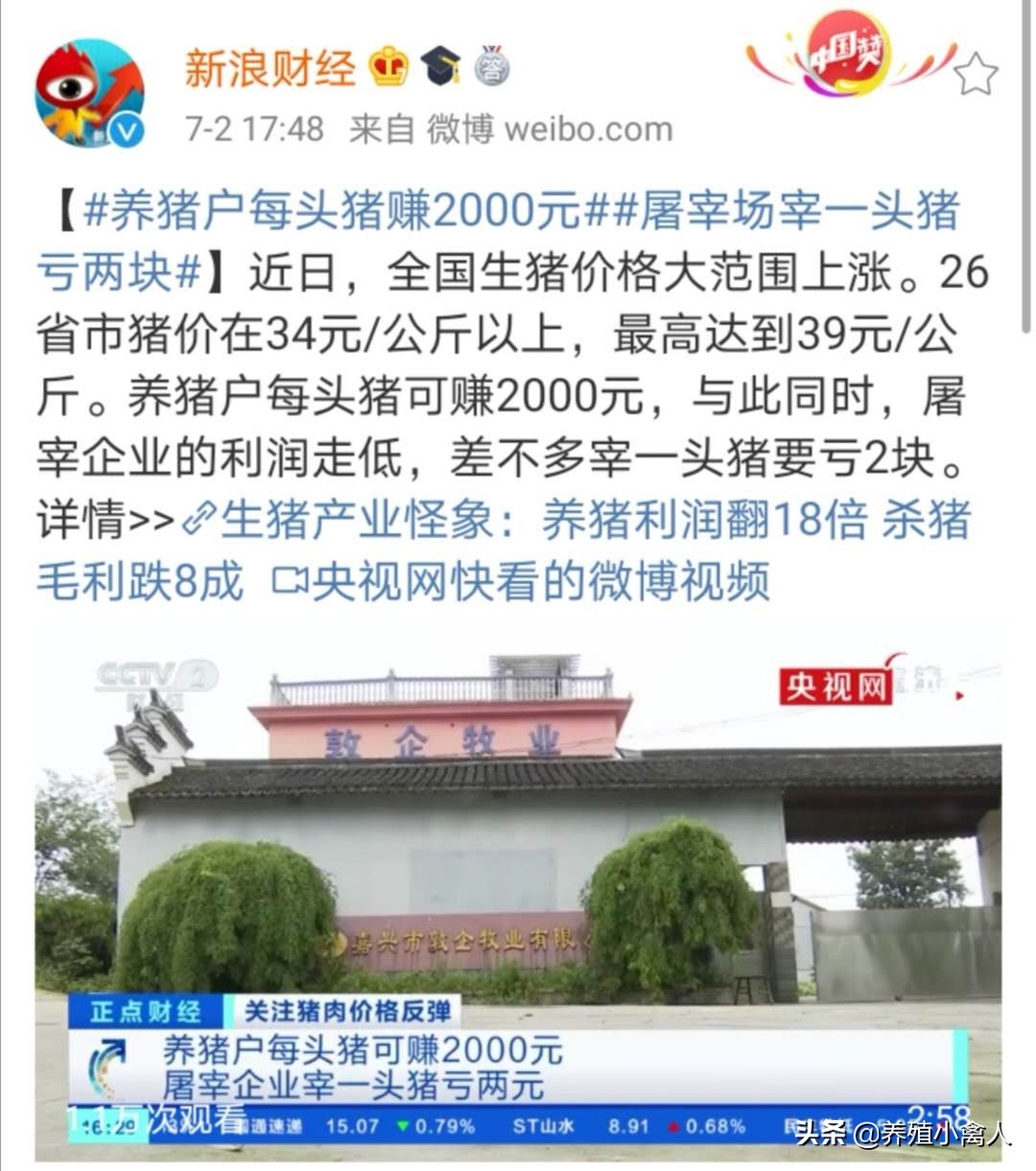 屠宰场说一头猪亏2元？养殖户，你们信不信？