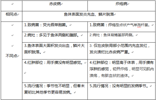 鱼赤皮病是什么原因 鱼得赤皮病该如何治疗