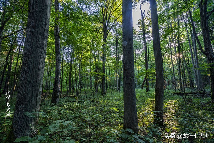 「波兰」波兰自驾，探寻边境地区的三处跨国世界遗产