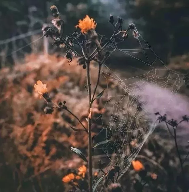 忘记昨天的不愉快说说 忘掉从前一切重新开始图片
