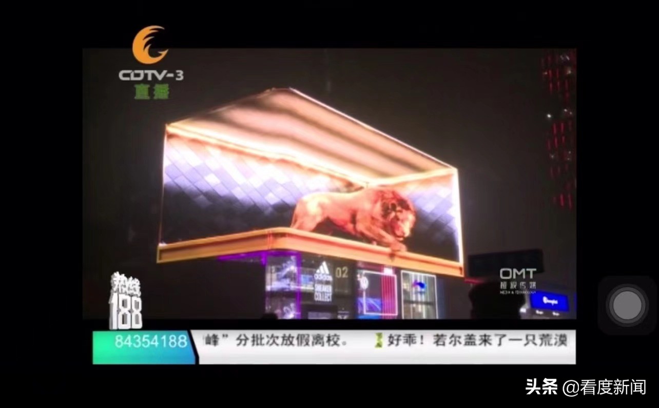 火遍全网、万人打卡的狮子王，我们找到了他的“幕后老大”