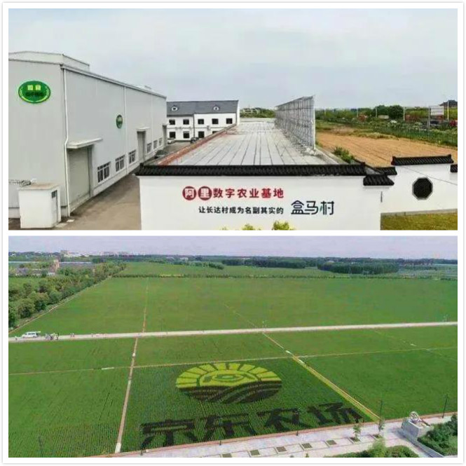 互联网大佬布局农业，不约而同！京东和阿里巴巴有什么不一样？