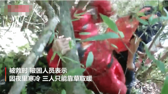 作文|带孩子进山找作文灵感被困一夜 被救时三人只能靠草取暖