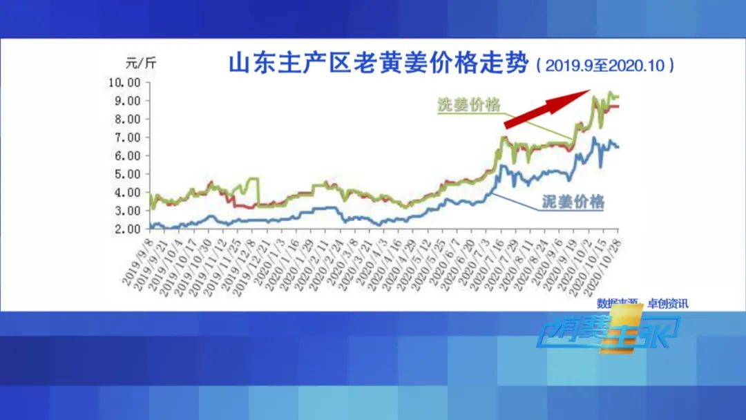 新姜收获！有人整亩出售，有人窖里深藏，生姜价格走向何方？